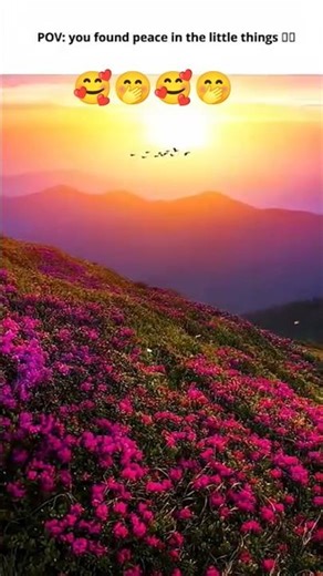 tree tree 🌲 park 🏞️🥰🥰🥰😍😍 #gameskhelkarpaisekai #anime #ihavethisthingwithplants #anime #akmkiki