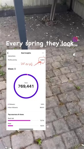 Tam Clarke on Instagram: "My most watched reel of 2025, actually of ever 🤣 if I get over 1k views I throw a party 😂 so this made me smile big. Thank you all for the likes, comments & views. I’m so very grateful. I’ll be transforming my block paved driveway in spring so follow on to see how that goes 🤗 Hope the snow storm wasent so bad where you all are. Have a lovely cosy evening everyone. Tam 🤗 . . . #blockpaving #jetwashing #viralreels #ukgardens #homesofinstagram"