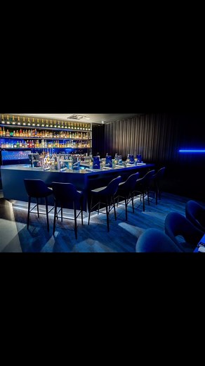 Bird's Basement on Reels