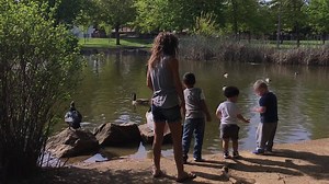 1K views · 44 reactions | One of Gresham’s most loved family parks, named for the Red Sunset® Red Maples that are prominent in the park, which includes: group picnic shelters, a one-acre pond with fountain, picnic tables, ball fields, play equipment, rest rooms and a popular walking path. Details: https://bit.ly/2rUkZbr | City of Gresham - Government | Facebook