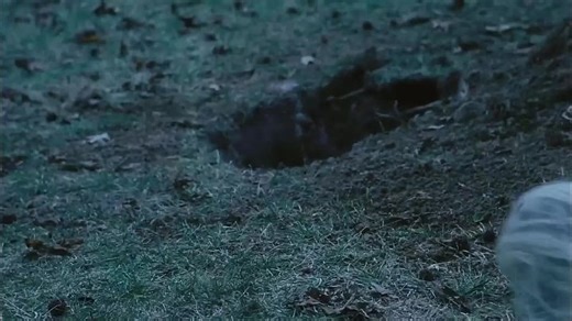 Profanadores de tumbas (2006) (The Gravedancers)