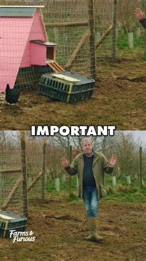 90K views · 1.6K reactions | Clarkson's Farm – Jeremy Tries to Catch a Chicken 藍 #clarksonsfarm #jeremyclarkson #farming #farmlife #chicken | Farms and Furious | Facebook