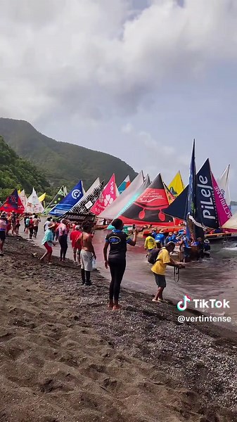 Vert-intense sur TikTok