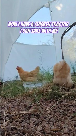 🐔🚜 Crafting with Trash: Portable Chicken Tractor