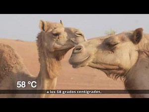 1. El llamado planeta azul