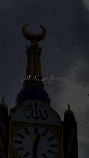 يا رب بلغ امي ليلة القدر واجعل لها دعوة لا ترد 🤲🤍 #دعاء #امي #ليلة_القدر #اللهم_امين_يارب_العالمين #دعاء_يريح_القلوب