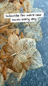 DEEP TECHNO MIX is on the channel ❤️‍🔥 #deeptechno #deephousemusic #technomix #deephouse #1hourmix