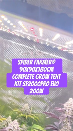 Spider Farmer® 90X90X180cm Complete Grow Tent Kit SF2000PRO EVO 200W #crazybud #420 #growled