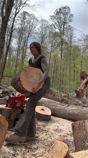 Lifting hard maple rounds that would make a grown man cry #firewood #chainsaw #saw #axe #trees