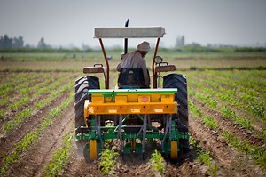 🌱 The U.S. is proud to support climate-resilient agriculture in Pakistan! 🇺🇸🌾 With U.S. funding, Pakistani farmers have gained modern tech, new job opportunities, and a boost to the economy. Watch the video to see how U.S. infrastructure investments are transforming Pakistan’s agricultural sector! | U.S. Embassy Pakistan