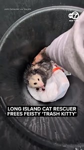 John Debacker, an animal rescuer with Long Island Cat/Kitten Solution, freed a distressed possum from a trash can in Wantagh, New York. | ABC7NY