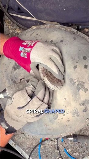 Archaeologist Finds 100 Million Year Old Sea Monster Fossil!