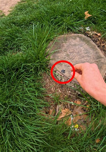 Coin Cleaning on TikTok