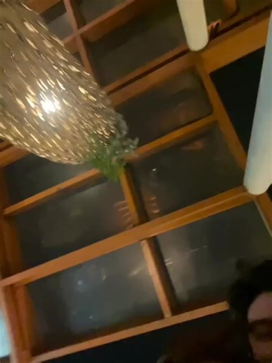 Fan Service o Hindi? Alamin ang Katotohanan!