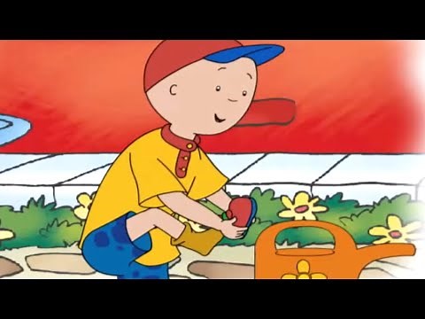 Caillou's Wet Feet | Caillou Cartoon