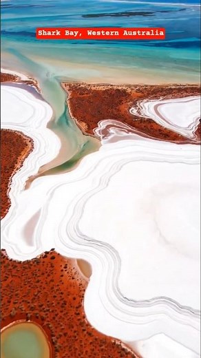Shark Bay WA | UNESCO World Heritage & Dolphin Bay