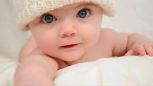 Chipolino: A magical beginning! | Chipolino