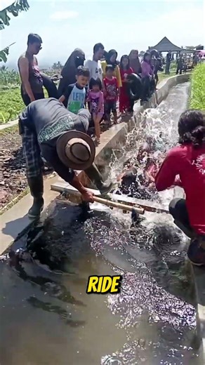 The DIY Water Park Everyone LOVES 🤯(@aangmuslihan)