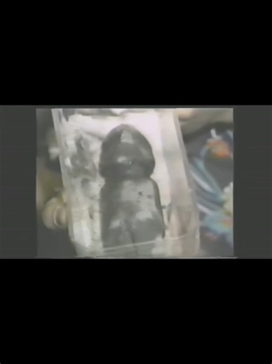 Así se llevaron los trabajos de excavación durante el hallazgo de Coyolxauhqui en la Ciudad de México en 1978. #mexico #cultura #cultural #culture #prehispanic #arqueologia #archaeology #civilization #mesoamerica #mesoamérica #photo #photography #photographer #museo #museum #orgullomexicano #mexicano #mexicolindo #mexicosorprendente #mimexico #mexicolors #mexicodesconocido #mexicomagico #méxico