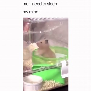 Every night | Brittany Furlan