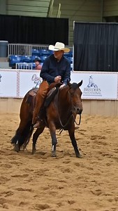 136 reactions · 3 comments | Our favorite combination: a great horse & a @southtexastackofficial saddle : Steve Martin #2m #saddles #cutting | South Texas Tack | Facebook