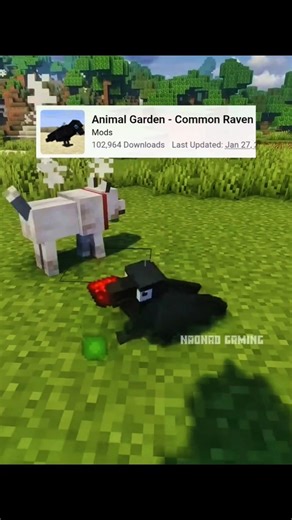 Animal Garden - Common Raven Minecraft Best Mods #shorts
