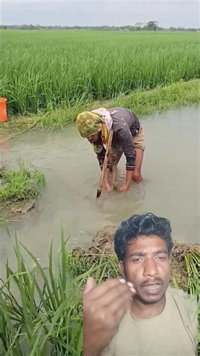 #fishing #fish #farming #villagelife #agriculture #fishon #nature #fishingvideo #outdoors