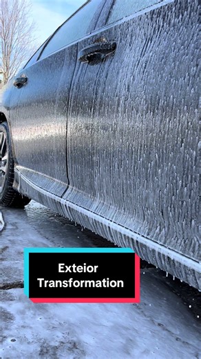 Part 2 of today’s client! Phillips legendary detailing, no shortcuts just legendary results #fyp #foryoupage #2026 #trending #viral