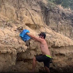 After noticing a poor koala was lost and stranded on a riverbank, these two Aussie lads came to the rescue 🙌 | LADbible