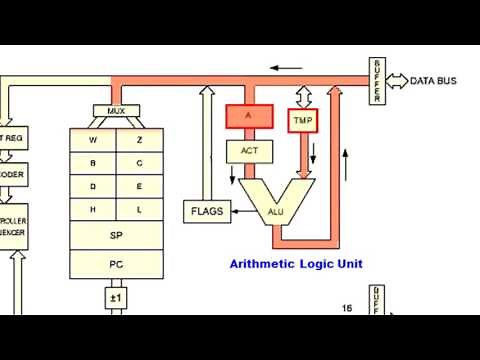 Architecture of a microprocessor (Basic)