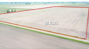 Upcoming LaSalle County, IL Land Auction for Esther A. Grimm Trust on Friday, June 25th. Selling 80 acres in 1 tract. This farm features highly productive, tillable farmland. | Sullivan Auctioneers