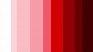 Download red color multiple gradient rectangular shape geometrical gradient palette loop able background for free