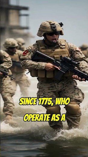 Marines vs Air Force: What's The Difference