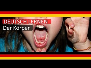 #5: LEARN GERMAN: BODY /LERNE DEUTSCH: DER KÖRPER