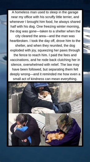 Where Kindness Found Its Way Home