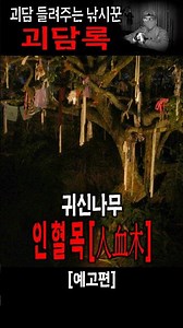 The Haunted Ghost Tree Born of Tragedy: A True Scary Story