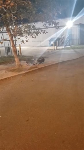 77K views · 2.4K reactions | Tia & Tamara- abandoned together ❤️‍啕 ...