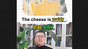 各种食物变质英文你会几个