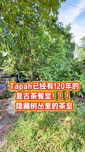 Tapah已经有120年的复古茶室！！ 隐藏在树丛后面的茶室！复古情怀的感觉 店里好播放着70/80年代的歌曲 Tapah又多一个好去处啦！！！❤️❤️❤️ 永发茶餐室 Weng Fatt Coffee Shop�161, Jalan Pahang, 35000 Tapah, Perak�早上7点 - 下午4点（星期四休息） #tapah #tapahperak #tapah旅游 #choco主播 #choco直播室chocolive | Choco直播室 Choco Live