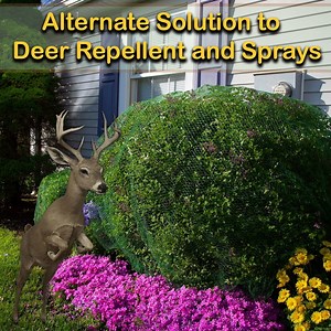 Deer Terrent 10' x 10' Virgin Polyethylene Plant Cover with Reusable