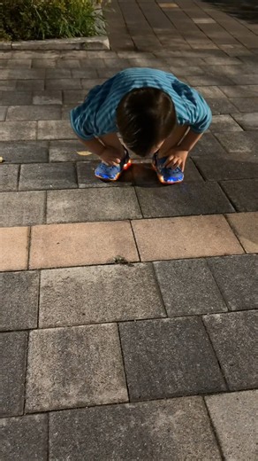 👨‍👩‍👦엄마 아빠와 야간산책 하다 발견한 개구리 🐸 보고 좋아하는 귀요미 🧸