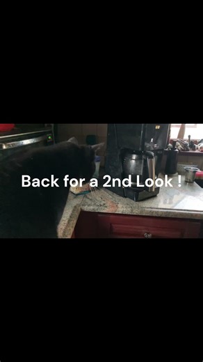 Mac and the Coffee Maker