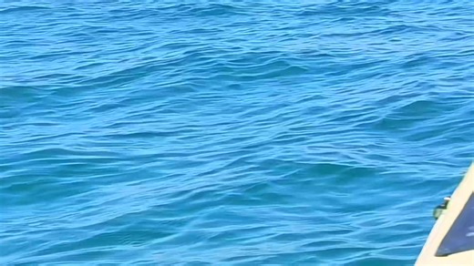 10K views · 121 reactions | Stunning morning trip! | Kayak Paternoster cc | Facebook