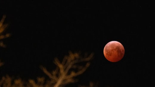 Total lunar eclipse casts red glow over St. John’s