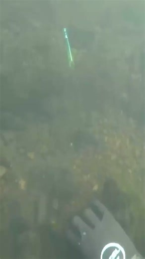 532K views · 7K reactions | 246_ #underwater #scubadiving #treasure #fyp | Underwater Exploration | Facebook