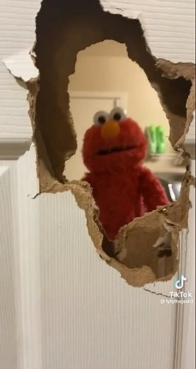 Kermit and Elmo breaking A dore￼￼