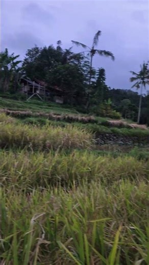 Time to Break the Fast #cisewu #southerngarut