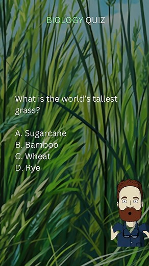 3.5M views · 10K reactions | Biology Quiz | Unleash Your Inner Biologist: Dive into this Epic Biology Quiz! | #biology #biologist #science #quiz #education #school #fbreels #reelsfb #reels #fyp #quizbee | Quizzy Bee | Facebook