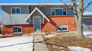 Tree disappears from Colorado front yard, family searches for answers