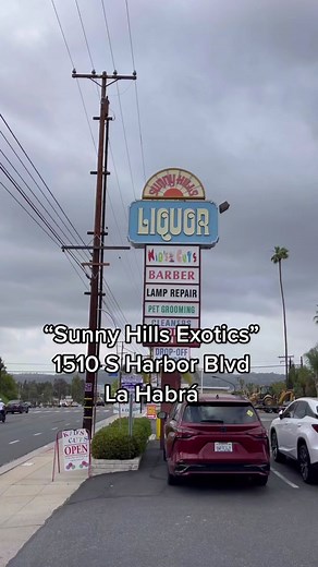 Exotic Snacks 🌎 🍭 #lahabra #orangecounty #candy #snacks #foodie